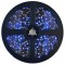 BANDA LED, 2835, IP65, ALBASTRU